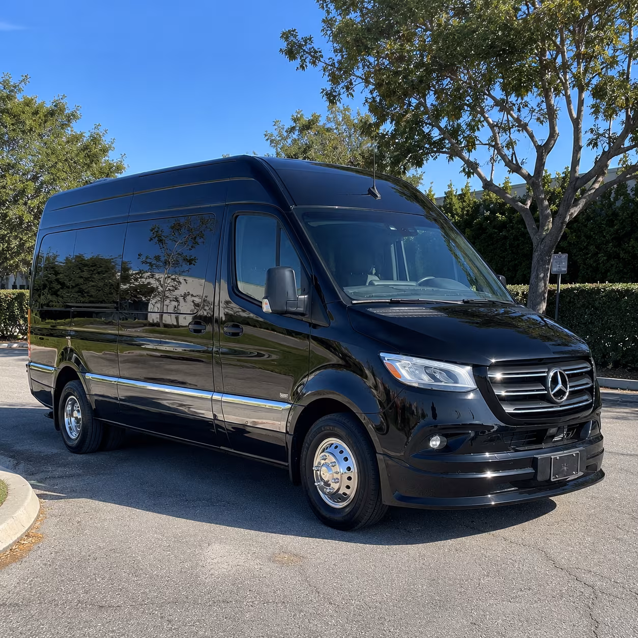 raleigh 12 passenger sprinter van