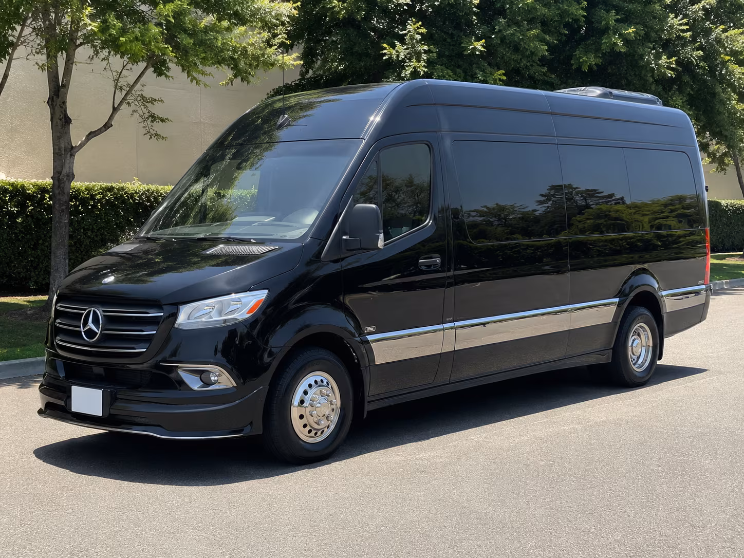 sprinter van rentals for prom photo stops at raleigh parks and landmarks